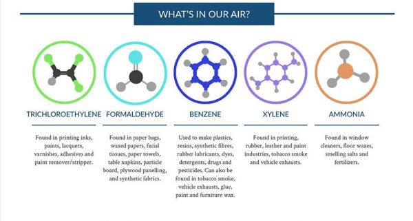  Những hóa chất độc hại có trong không khí 