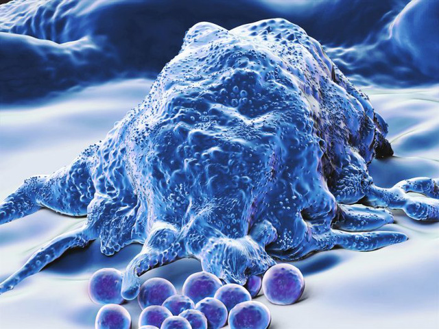 Nghiên cứu năm 2016 từng chứng minh đại thực bào là một tác nhân hỗ trợ HIV tồn tại 