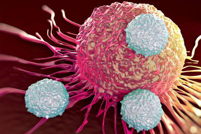  CAR-T hiện chỉ tỏ ra hiệu quả cao với các dạng ung thư máu. Ung thư có các khối u rắn sẽ là một thách thức với phương pháp này 