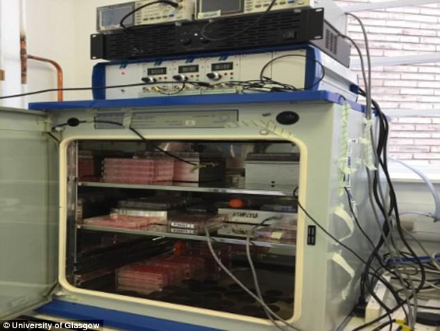 Xương nhân tạo đã được tạo ra bằng kỹ thuật nanokicking, truyền 1000 rung động cỡ nano mỗi giây trên tế bào gốc tủy