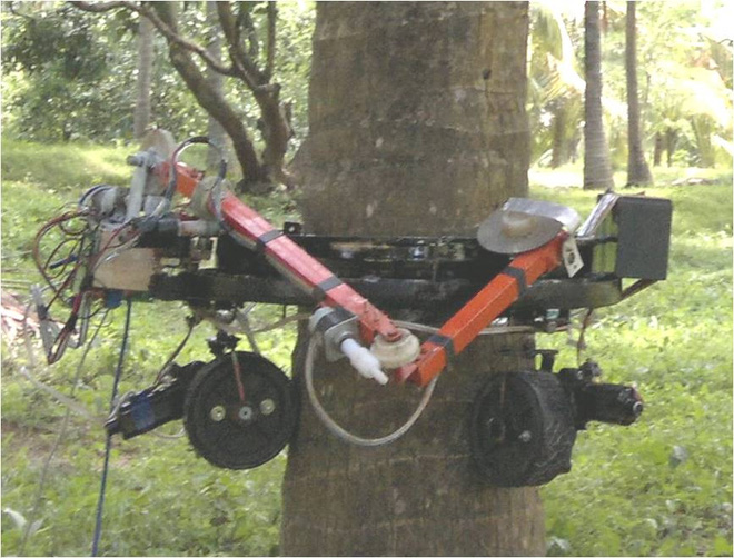 Ảnh robot trong thực tế